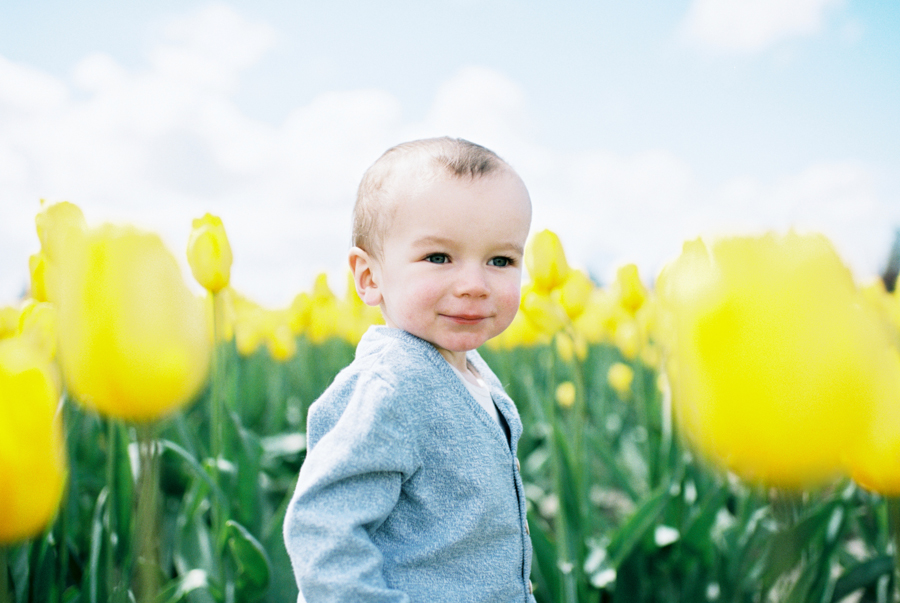 Baby-Tulip-Fields-WA-019